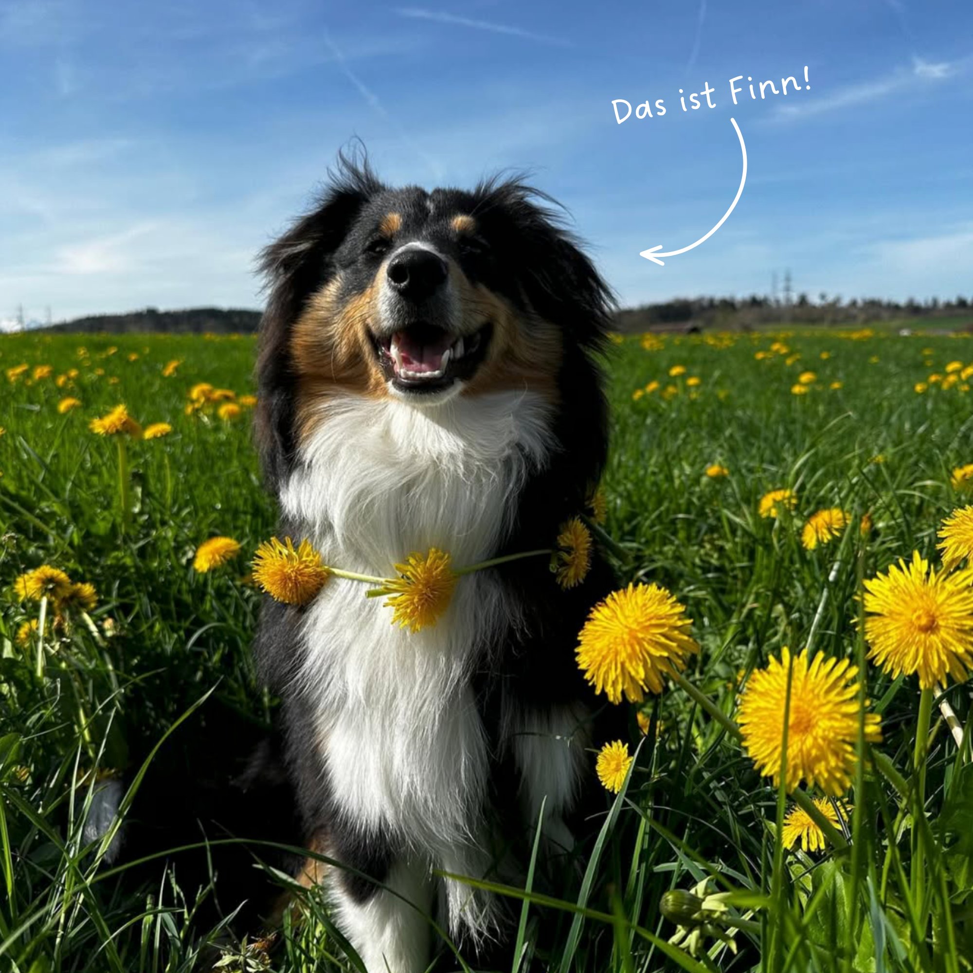 Das ist Finn